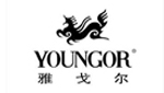 雅戈爾（600177）